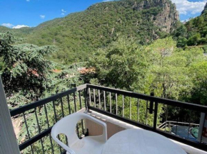 Charmant F2 avec Balcon et Parking à 50m des Thermes, Centre-Ville - Animaux Acceptés - FR-1-703-125